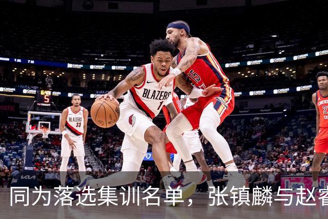 同为落选集训名单，张镇麟与赵睿的境遇差异何在？